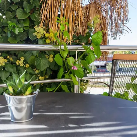 Sweet Garden Apartament *